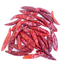 Asian vegetable plant seed green online  red dry pepper chilli seeds